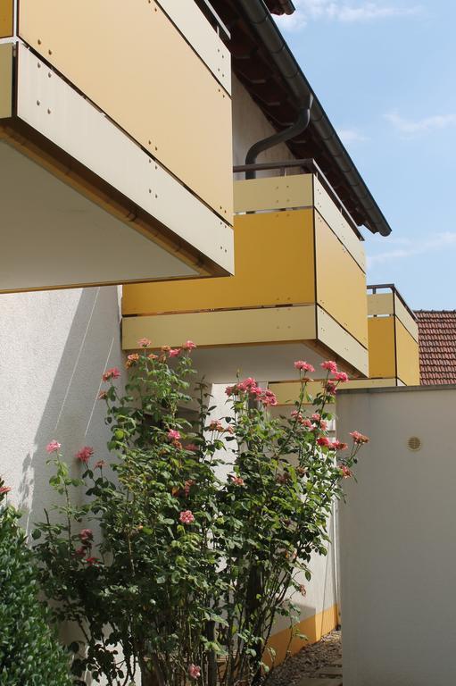 فندق فرايبورغفي  Hirschengarten المظهر الخارجي الصورة